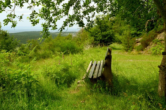 am