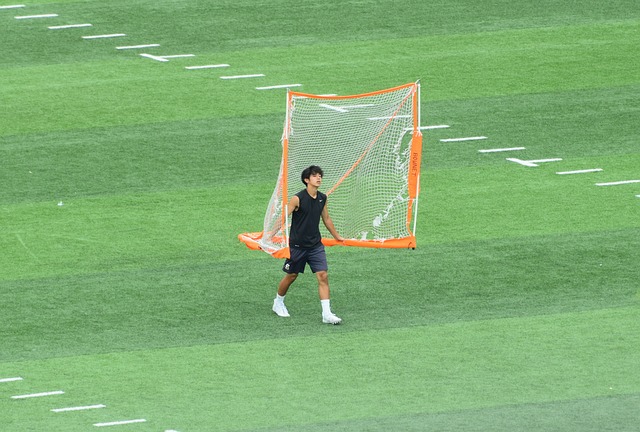 每体