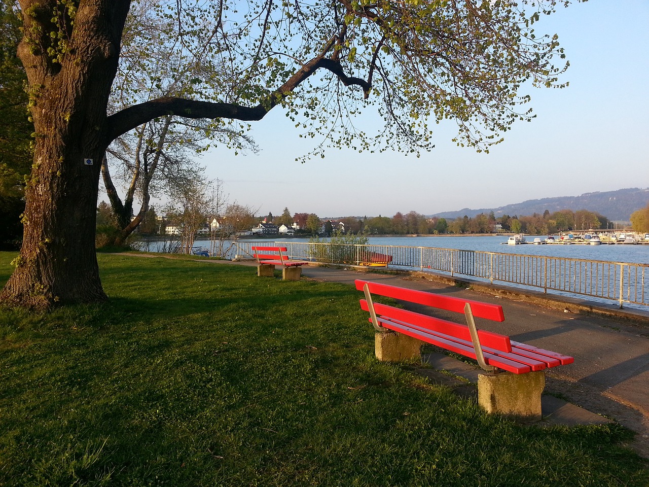 里戈和贝林 里戈和贝林