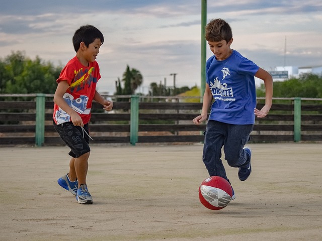 自己的职业 自己的职业