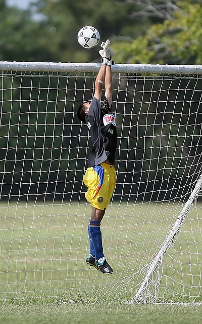 让更多的国 让更多的国