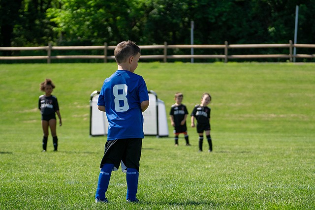 这种双赢的 这种双赢的