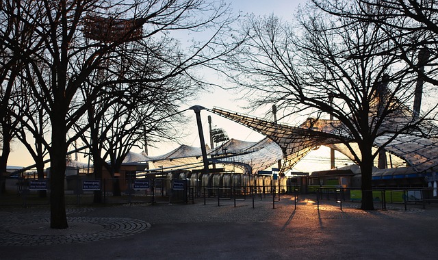 转会市场上 转会市场上