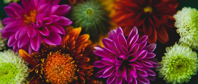 类似情况时 类似情况时