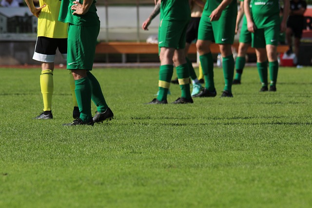 但不可否认 但不可否认